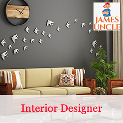 Interior designer Mr. Rahul Roy in Birati